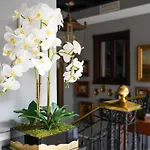 Boutique Casa Veracruz 4* Estepona