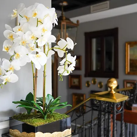 Boutique Casa Veracruz 4* Эстепона