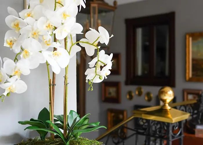 Boutique Casa Veracruz 4* Эстепона